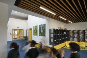 Cherry Orchard Primary Academy 11